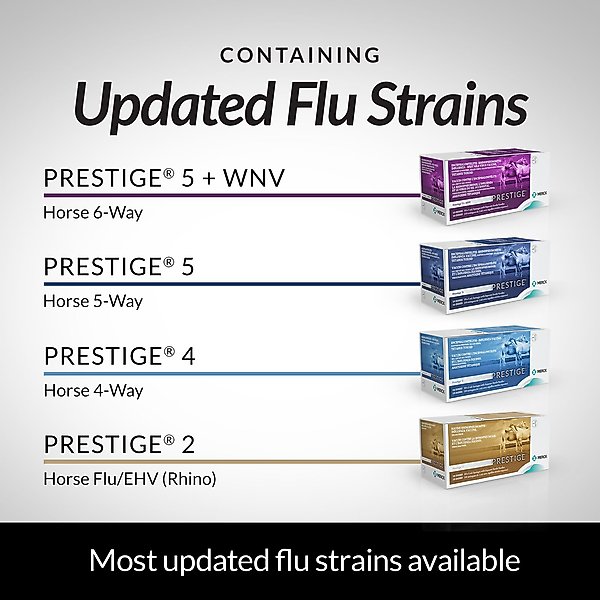 Show full view: PRESTIGE 4 Vaccine for Horses, 1-mL syringe slide 7 of 9