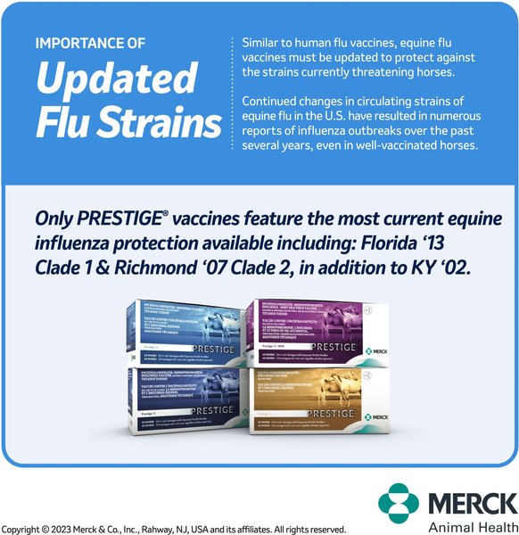 Show full view: PRESTIGE 5 Vaccine for Horses, 1-mL syringe slide 5 of 9