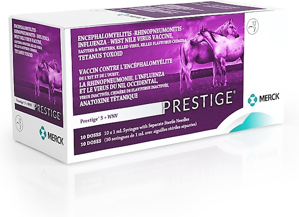 Show full view: PRESTIGE 5 + WNV Vaccine for Horses, 1-mL syringe slide 3 of 9