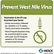 Show in main carousel: PRESTIGE 5 + WNV Vaccine for Horses, 1-mL syringe slide 5 of 9