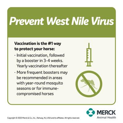 Show full view: PRESTIGE 5 + WNV Vaccine for Horses, 1-mL syringe slide 5 of 10