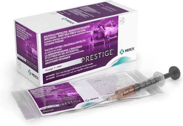 Show full view: PRESTIGE 5 + WNV Vaccine for Horses, 1-mL syringe slide 2 of 9