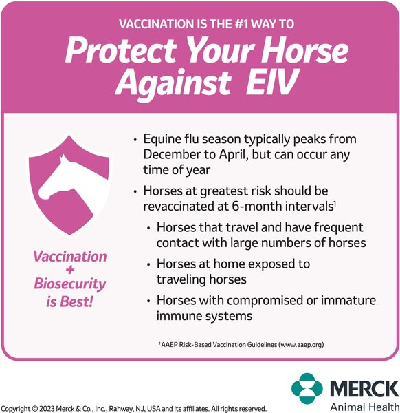 Show full view: PRESTIGE 5 + WNV Vaccine for Horses, 1-mL syringe slide 4 of 9