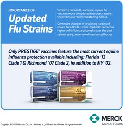 PRESTIGE 5 + WNV Vaccine for Horses, 10-mL vial slide 2 of 9