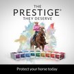 Show in main carousel: PRESTIGE PRODIGY Vaccine for Horses, 2-mL syringe slide 7 of 8