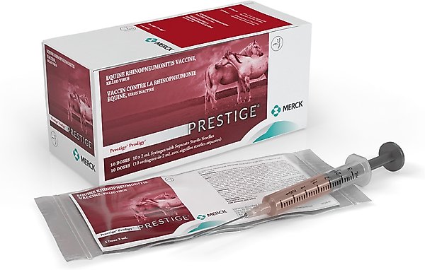 Show full view: PRESTIGE PRODIGY Vaccine for Horses, 2-mL syringe slide 2 of 8