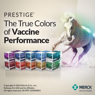 Show full view: PRESTIGE PRODIGY Vaccine for Horses, 2-mL syringe slide 5 of 8