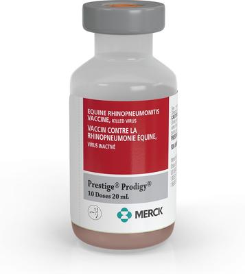 Show full view: PRESTIGE PRODIGY Vaccine for Horses, 20-mL vial slide 1 of 6