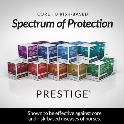 Show full view: PRESTIGE PRODIGY Vaccine for Horses, 20-mL vial slide 4 of 6