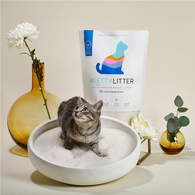 Show full view: PrettyLitter Scented Cat Litter, 8-lb bag, bundle of 2 slide 4 of 11
