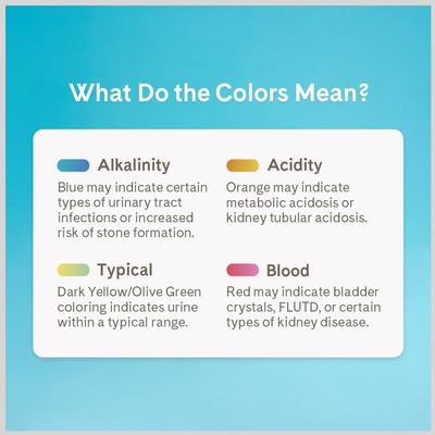 PrettyLitter Scented Cat Litter