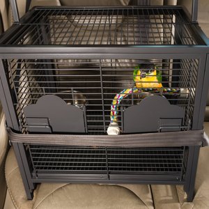Prevue Pet Products Bird Travel Carrier