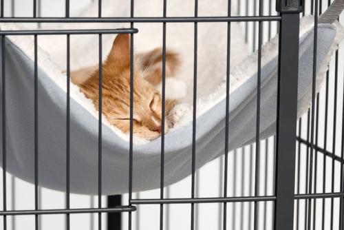 Show full view: Prevue Pet Products Cat Cage Replacement Hammock slide 8 of 10