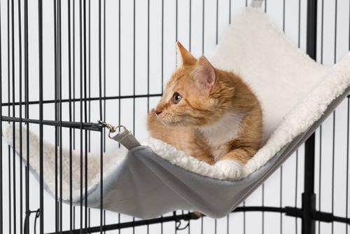 Show full view: Prevue Pet Products Cat Cage Replacement Hammock slide 9 of 10