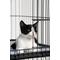 Show in main carousel: Prevue Pet Products Cat Cage Replacement Shelf slide 4 of 10