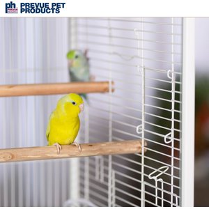 Prevue Pet Products Crystal Palace Luxe Glass Door Bird Cage, White