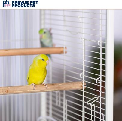 Show full view: Prevue Pet Products Crystal Palace Luxe Glass Door Bird Cage, White slide 8 of 10