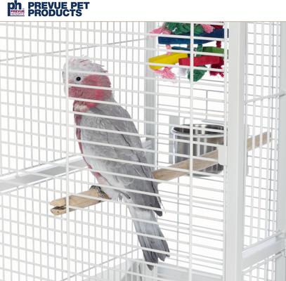 Show full view: Prevue Pet Products Dome Top Bird Cage, Medium, Chalk White slide 8 of 9