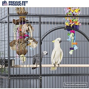 Prevue Pet Products Empire Bird Cage, Black Hammertone, X-Large