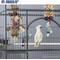 Show in main carousel: Prevue Pet Products Empire Bird Cage, Black Hammertone, X-Large slide 8 of 10