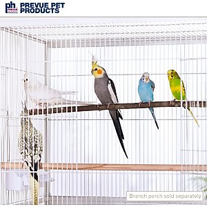 Prevue Pet Products Flight Bird Cage, White