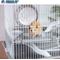 Show in main carousel: Prevue Pet Products Haven Small Pet Habitat, Gray, Medium slide 8 of 10