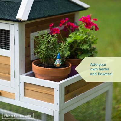 Show full view: Prevue Pet Products Herb Planter Chicken Coop slide 4 of 10