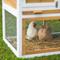 Show in main carousel: Prevue Pet Products Herb Planter Chicken Coop slide 6 of 10