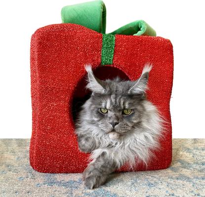 Show full view: Prevue Pet Products Holiday Gift Dog & Cat Bed slide 2 of 2