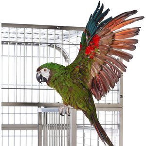 Prevue Pet Products Imperial Stainless Bird Cage
