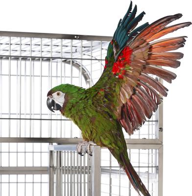 Show full view: Prevue Pet Products Imperial Stainless Bird Cage slide 6 of 10