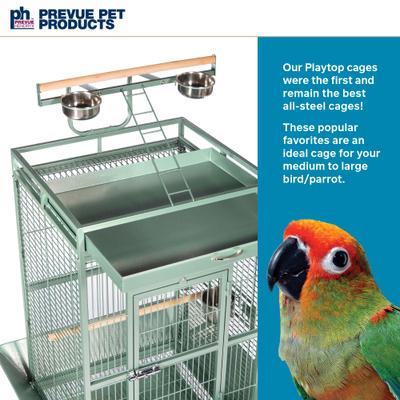 Show full view: Prevue Pet Products Medium Select Bird Cage, Sage Green slide 2 of 9