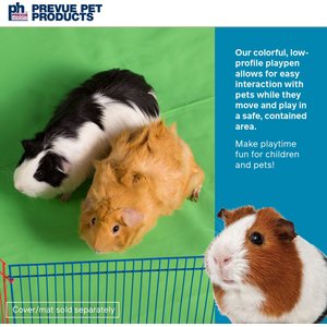 Prevue Pet Products Multi-Color Small Animal Playpen, 36-in