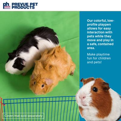 Show full view: Prevue Pet Products Multi-Color Small Animal Playpen, 36-in slide 3 of 11