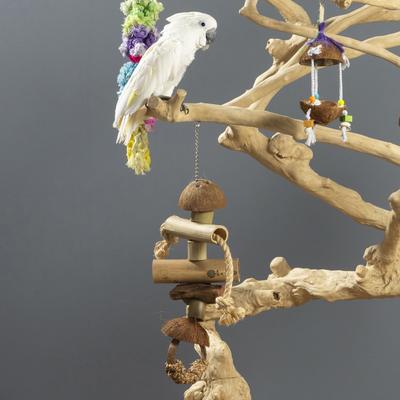Show full view: Prevue Pet Products Naturals Gorilla Bird Toy, Natural slide 7 of 8