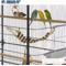 Show in main carousel: Prevue Pet Products Naturals Rope Ladder Bird Toy, 17-in slide 4 of 11