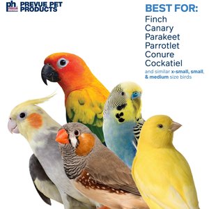 Prevue Pet Products Naturals Woodland Harvest Bird Toy, Natural