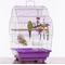 Show in main carousel: Prevue Pet Products Palm Beach Scallop Roof Bird Cage slide 8 of 9