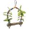 Show in main carousel: Prevue Pet Products Playfuls Birds of Paradise Swing Bird Toy, Multicolor slide 1 of 9