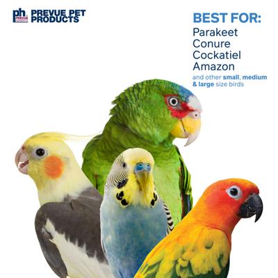 Show full view: Prevue Pet Products Playfuls Car Wash Bird Toy, Multicolor slide 4 of 7