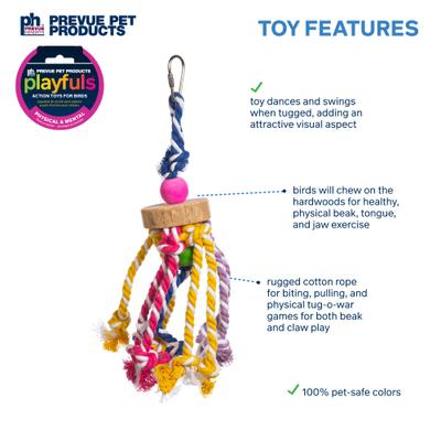 Show full view: Prevue Pet Products Playfuls Court Jester Bird Toy, Multicolor slide 3 of 7