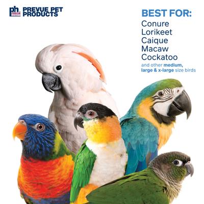 Show full view: Prevue Pet Products Playfuls Dagwood Bird Toy, Multicolor slide 4 of 7