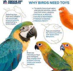 Prevue Pet Products Playfuls Party Popper Bird Toy slide 2 of 7