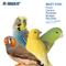 Show in main carousel: Prevue Pet Products Playfuls Sassy Bird Toy, Multicolor slide 4 of 7