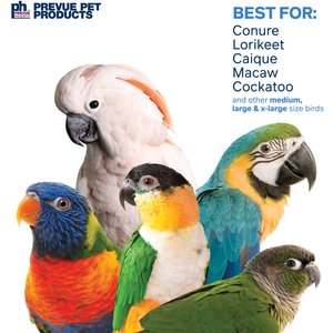 Prevue Pet Products Playfuls Tower Bird Toy, Multicolor