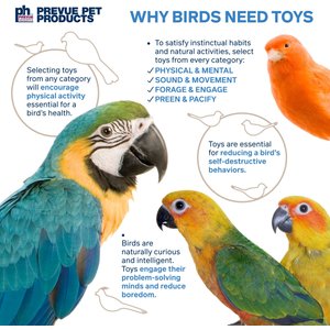 Prevue Pet Products Playfuls Tower Bird Toy, Multicolor