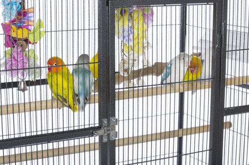 Show full view: Prevue Pet Products Powder Coated Steel Construction Flight Bird Cage with Stand, Black slide 4 of 6