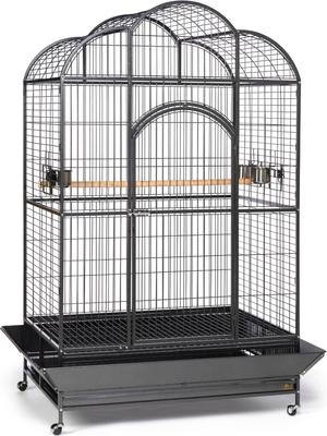 Show full view: Prevue Pet Products Silverado Macaw Dometop Steel Bird Cage, Black slide 1 of 10
