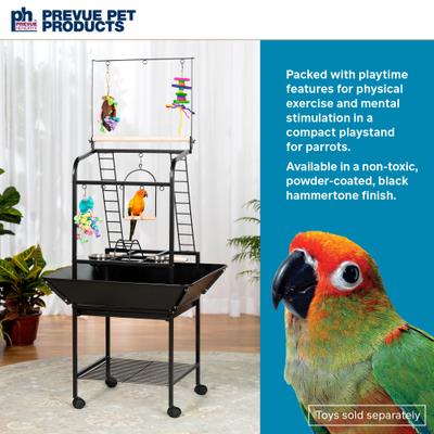 Show full view: Prevue Pet Products Small Parrot Playstand, Black Hammertone slide 2 of 11