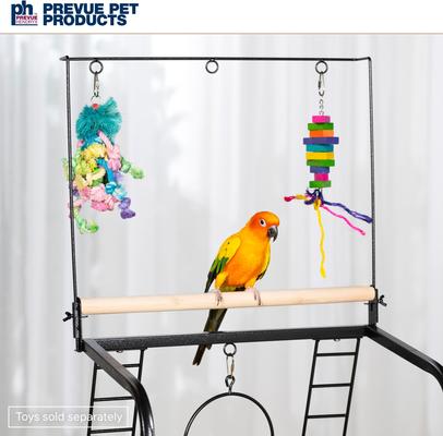 Show full view: Prevue Pet Products Small Parrot Playstand, Black Hammertone slide 5 of 11